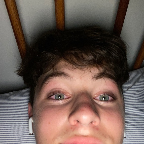 Meet your Posher, Daniel - Picture 1 of 1